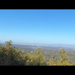 Meet your Posher, Tram